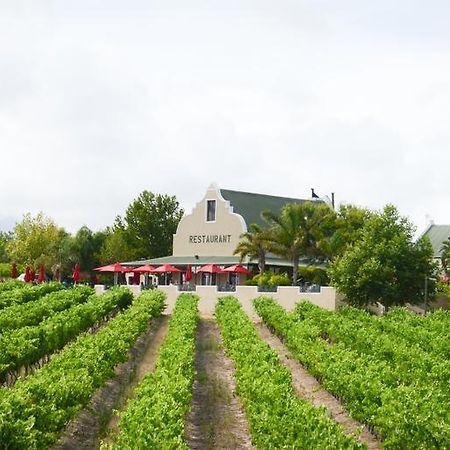 Skilpadvlei Wine Farm Stellenbosch Luaran gambar