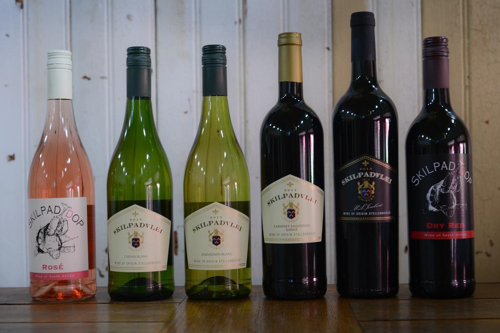 Skilpadvlei Wine Farm Stellenbosch Luaran gambar