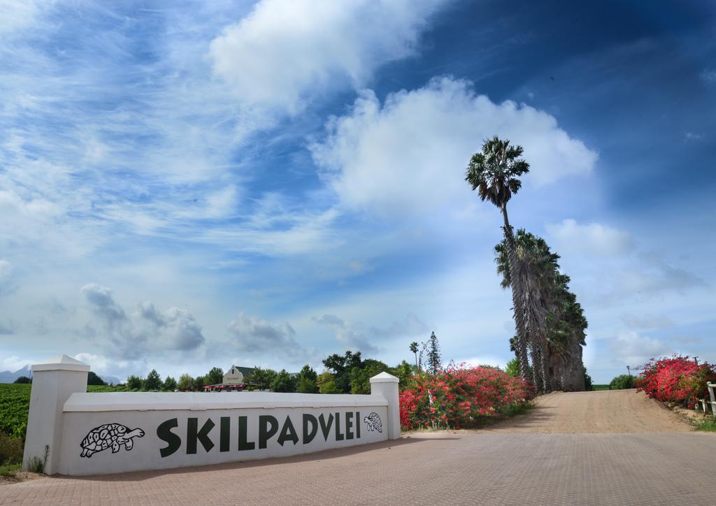 Skilpadvlei Wine Farm Stellenbosch Luaran gambar